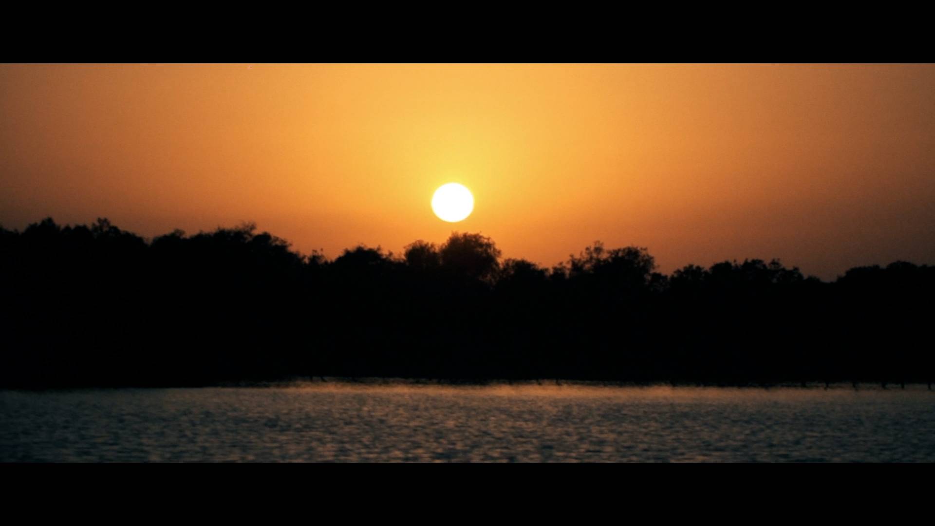 IMG 20260713 213216